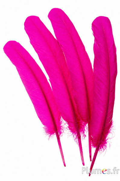 Oca - 25-30 cm - fucsia